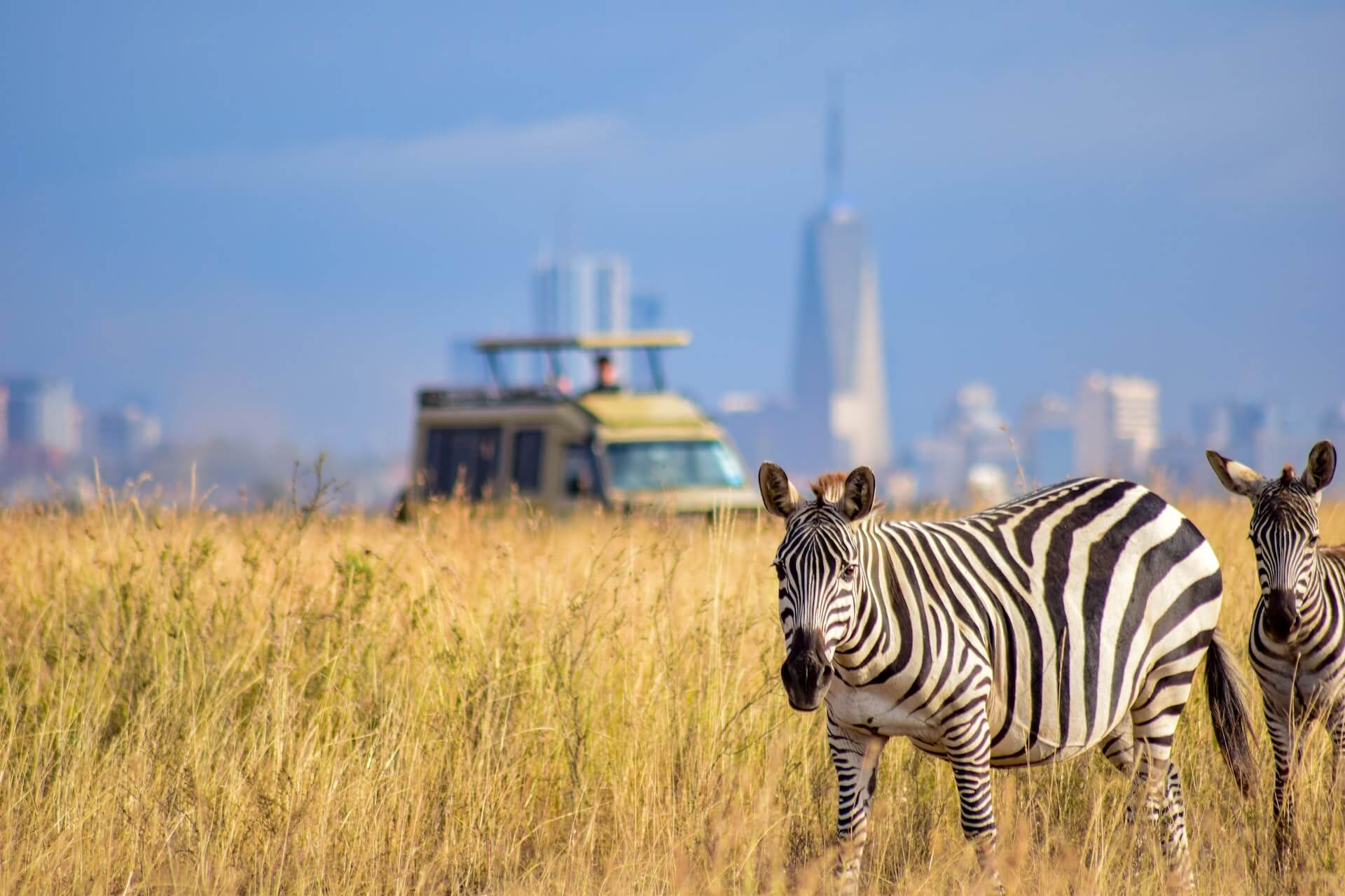 Nairobi National Park Under Threat: A Nation at a Crossroads Between Development and Conservation